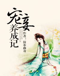 超级索尼子本子