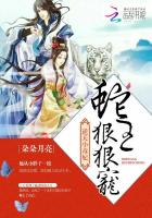 黄页网站在线看