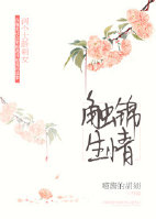 av小说图片