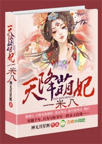 西北有高楼小说