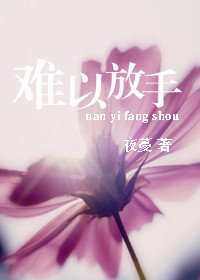 海贼王本子合集