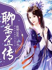 乡村无敌小兽医小说