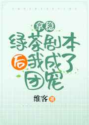 张柏芝艳阳门无删照片图组
