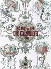 中国XXXXXL17仙踪林