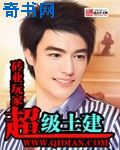 dpmi系列