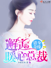 bl沦为奴全文免费阅读