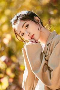 人面桃花电视剧