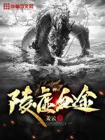 风流村长小说全集