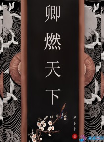 赌侠电影