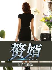 老卫和淑蓉全集小说