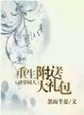塔城小猫