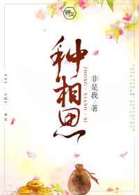 黑道公子2