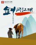 寻侠英雄传之飞贼