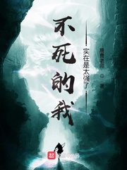 星际争霸1.08硬盘版