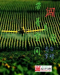 宇都宫紫苑快递