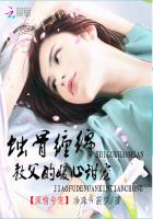 都市少帅txt全集下载