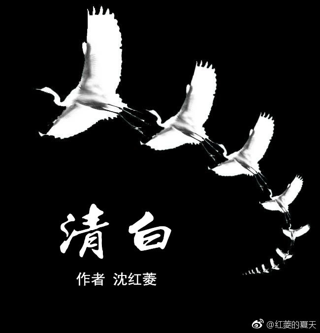 老赵和童媛媛在厨房