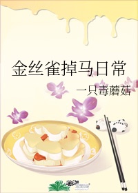 霍栩耐姜倾心小说
