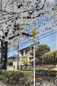 密室大逃脱第4季免费观看