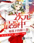 重庆森林在线观看