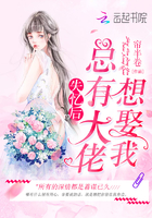 火炬之光2狂战士加点