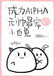 噼里啪啦韩剧免费观看