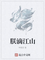 国家公诉40集免费完整版