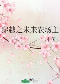 七妺导航