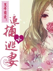 kksebo最新域名