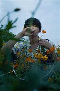 我探索母亲的桃花源的