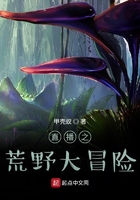 懒猫的狮子倒影