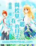 将军夫人又跑了