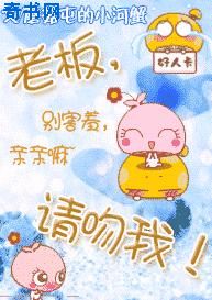 国产理论视频