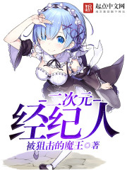 免费100视频在线播放器