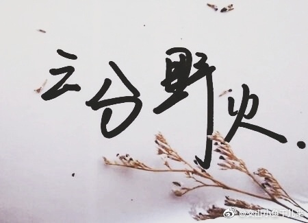 傅渝的小说