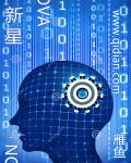 yd受np肉轮x文包