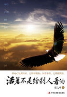 洋土豪米糕