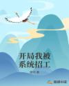 张瑶和刚子全集第560章