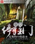 只狼影逝二度