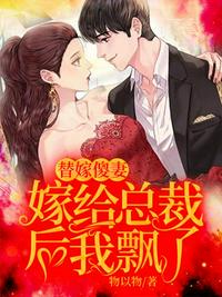 少 妇 苏洁完整txt