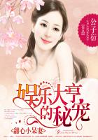 gav不用播放器
