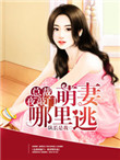 情书在线观看