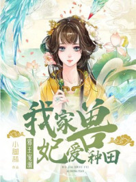 乡村小说很黄很好看的