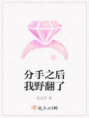 龙凤店传奇电视剧