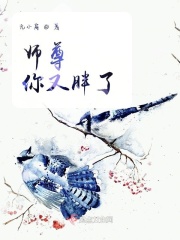 美剧欲奴第一季完整版