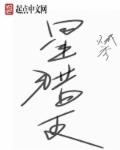 闪光少女免费观看完整视频