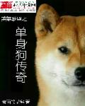 辣妈张静目录