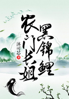 头文字d第五部