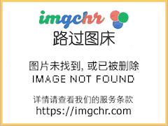 对魔忍雪风在线观看神马