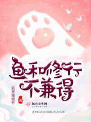双程2免费线观看完整版